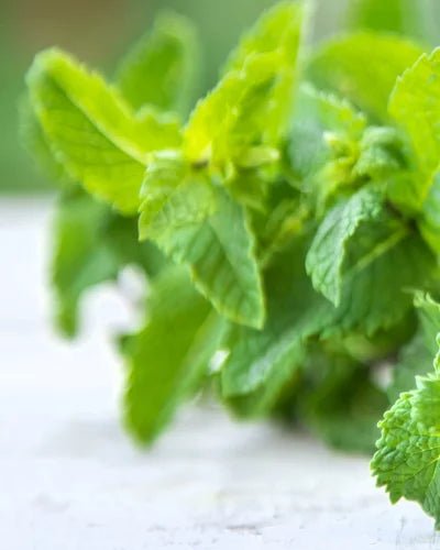 NURME Sea Mineral Scrub 250g - bioskina